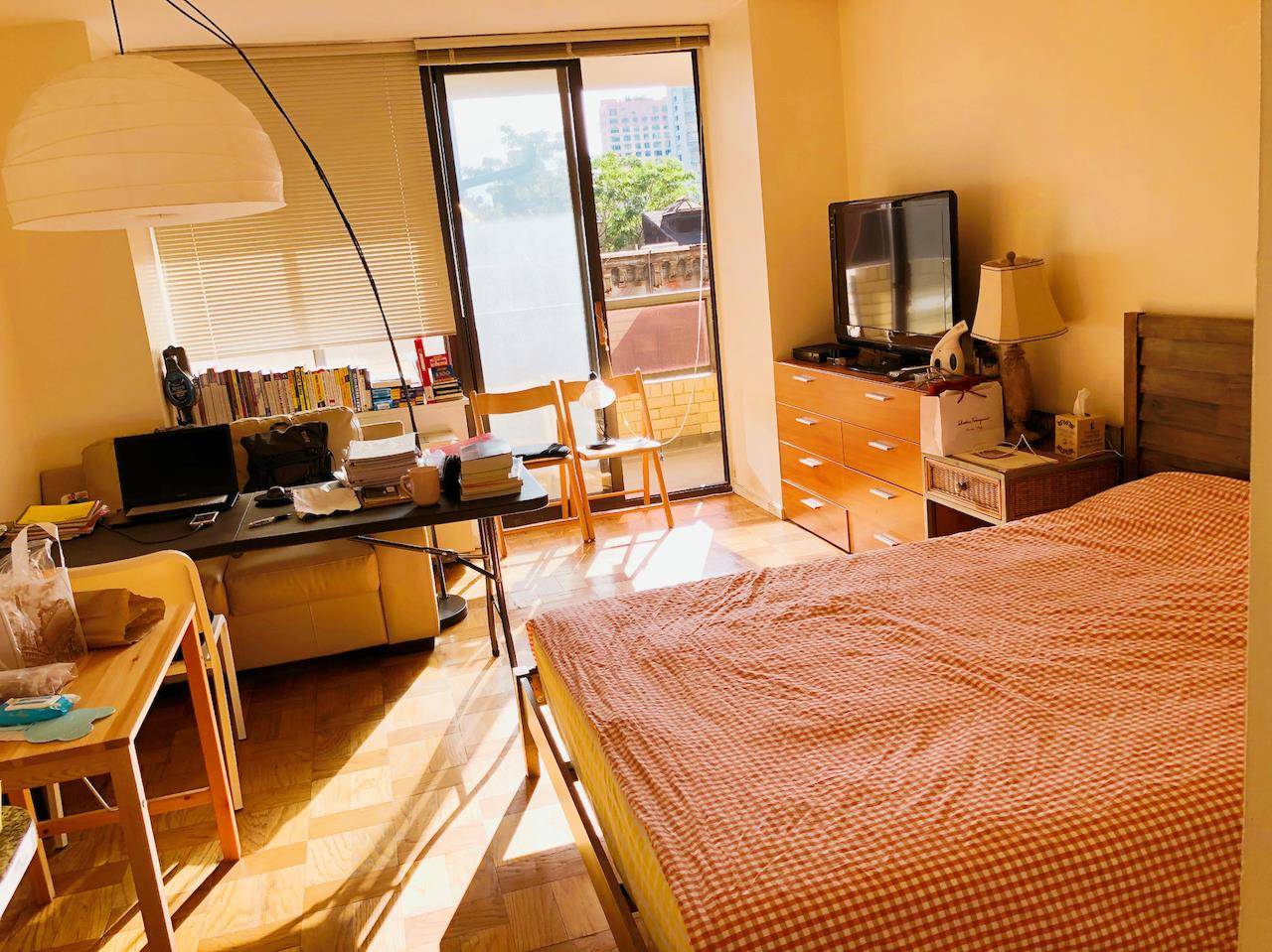 Bright, south facing, sunny, furnished studio with BIG BALCONY !