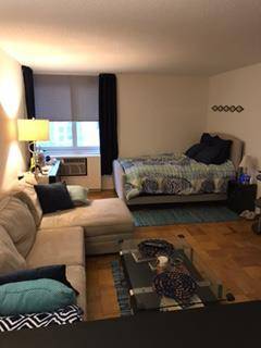 Wonderful Studio in Midtown West with Great Closet Space
