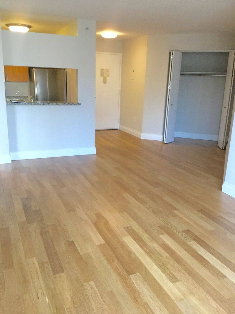 Beaitufl One Bedroom with Skyline Views in Chelsea (NO FEE)