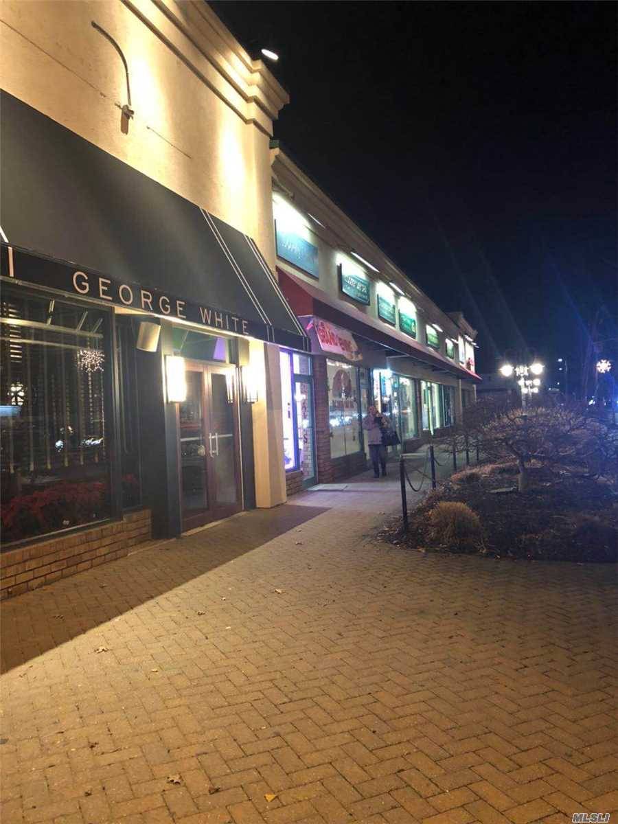 Berry Hill Rd commercial syosset gold-coast-li