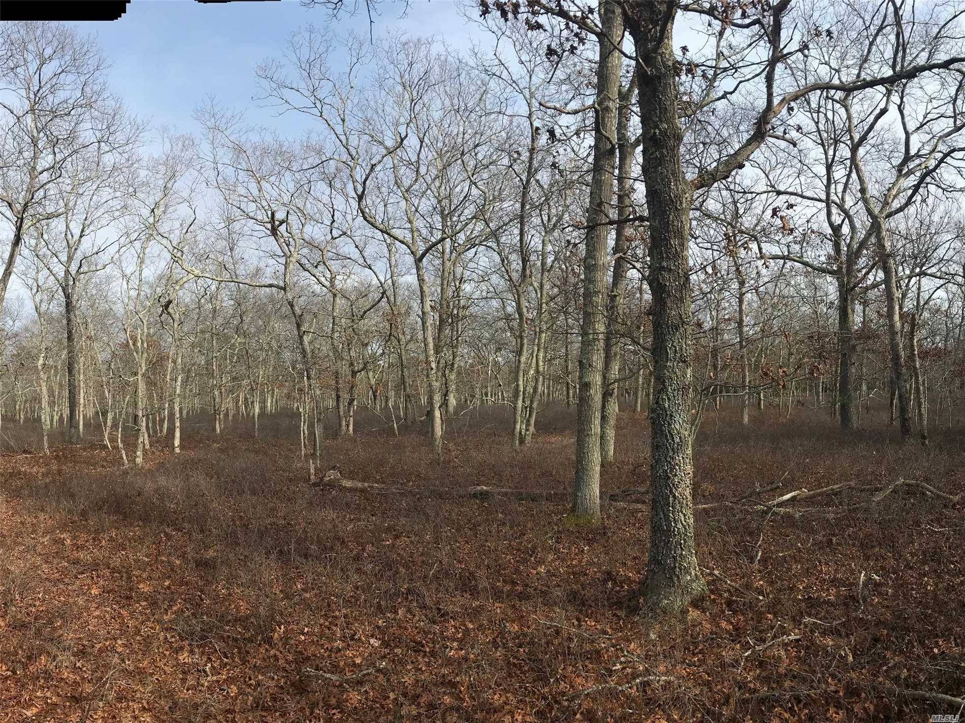 Rolling Hills Blanketed With Beautiful Oaks And White Pines Will Captivate Your Imagination As You Take In This Impressive 7 Acre Lot Surrounded On Three Sides By East Hampton Community ...