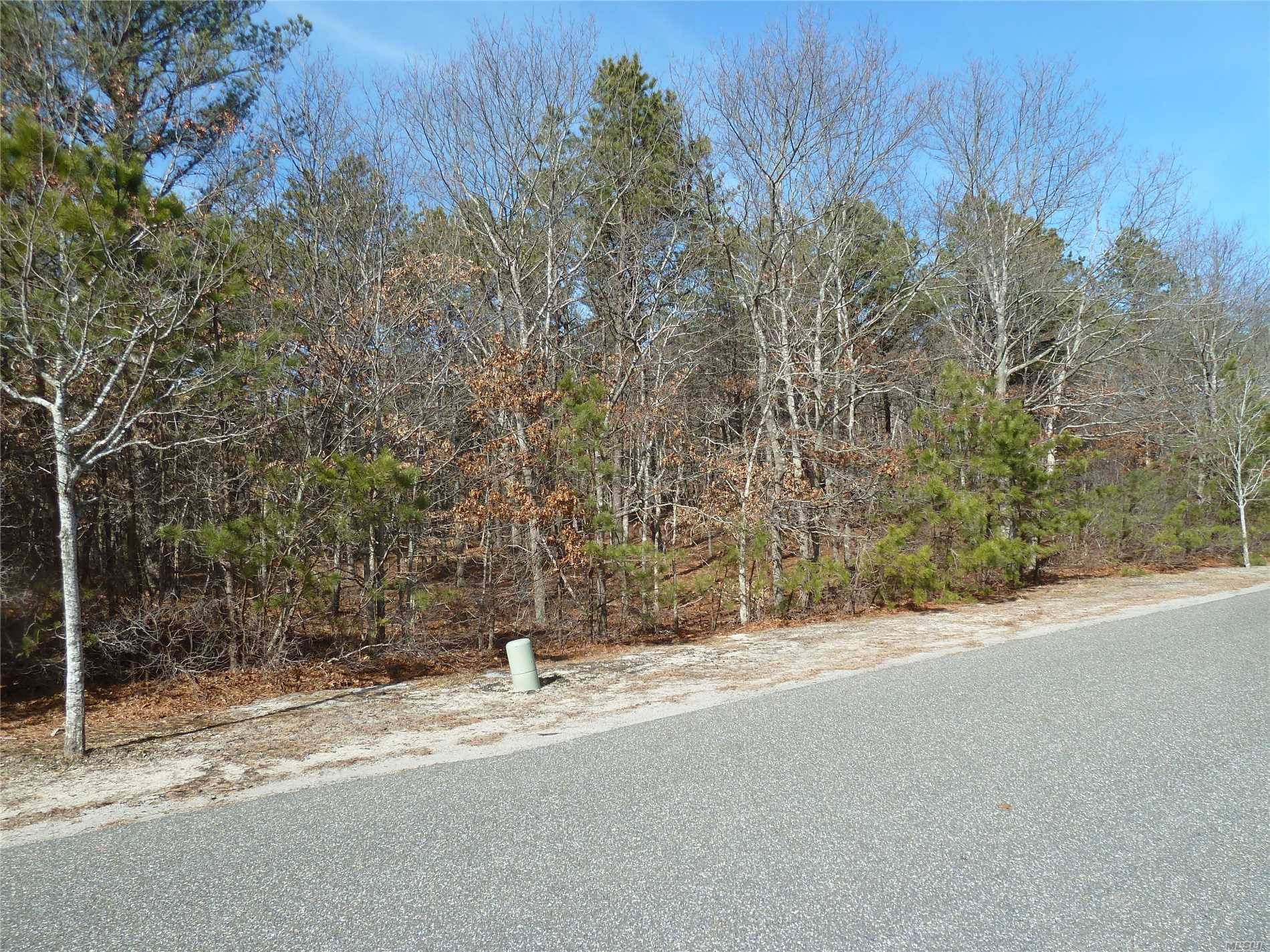 Great Property To Build A Wonderful Home In The Prestigious Southampton Pines Area.