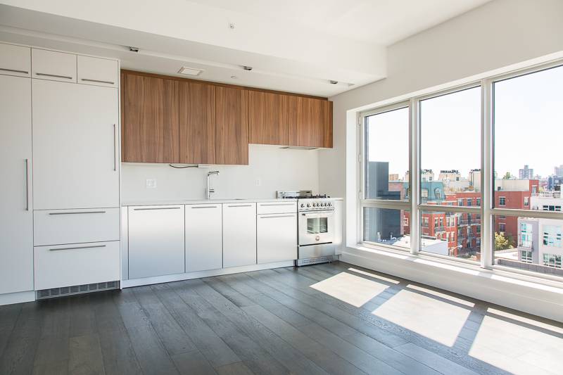 212 North 9th Williamsburg luxury Penthouse with private roofdeck -  full amenity condo - unparalleled views and light
