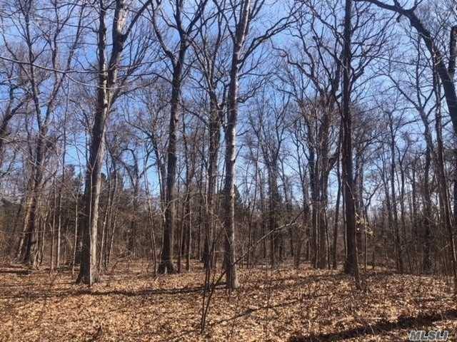 Located in the Picturesque Village of Nissequogue is this Level 2 Acre Parcel Where You can Design and Build The Dream Home You Have Been Searching For in The Market.