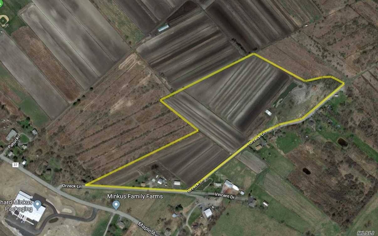 22. 1 Acres ! Huge Land And Farm House 1, 123 sq ft 3 Bedrooms 2 Bathrooms, Agricultural Industrial, Just Few Miles From The Lego Land Planned Place.