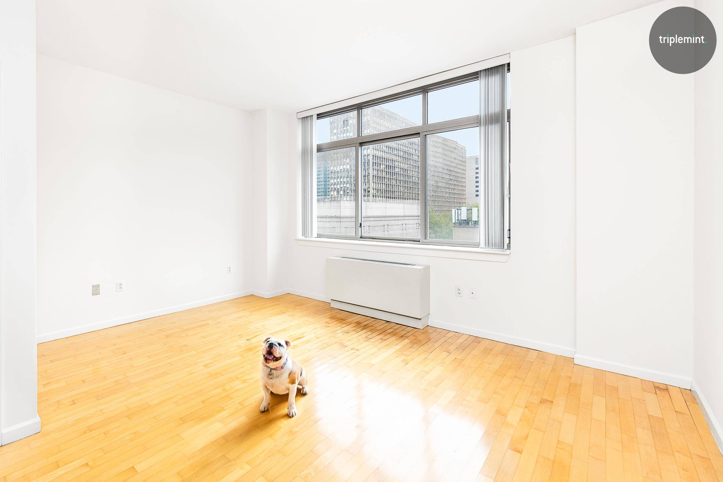 This is an extraordinary deal for a dog friendly, condo studio on the border of Murray Hill and Kips Bay in a full service, luxury building.