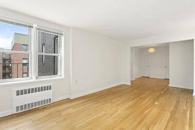 One Bedroom Co op apartment with plenty of windows and closets, Hardwood floors, windowed kitchen and Bathroom.