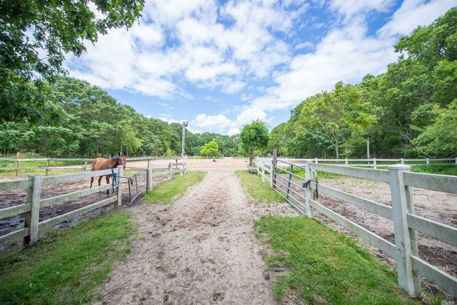 SPECTACULAR HORSE FARM ON 6 ACRES SUBDIVIDE ABLE INTO 3 LOTS.