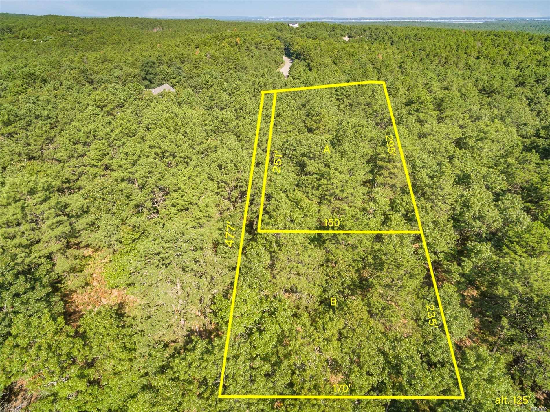 SOUTHAMPTON PINES BEAUTIFUL WOODED ACRE FLAG LOT ADJOINING A 16 ACRE PRESERVE ON OF THE HIGHEST POINTS IN SOUTHAMPTON PINES.
