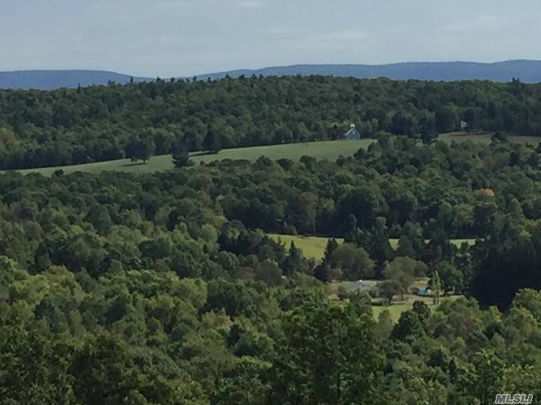 This beautiful 79 acre land is situated with great views of the Catskills and Berkshire Mountains.