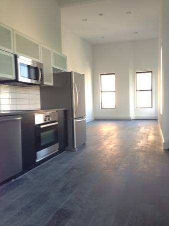 Luxury 1 bedroom Loft with 15ft Ceilings for Rent 