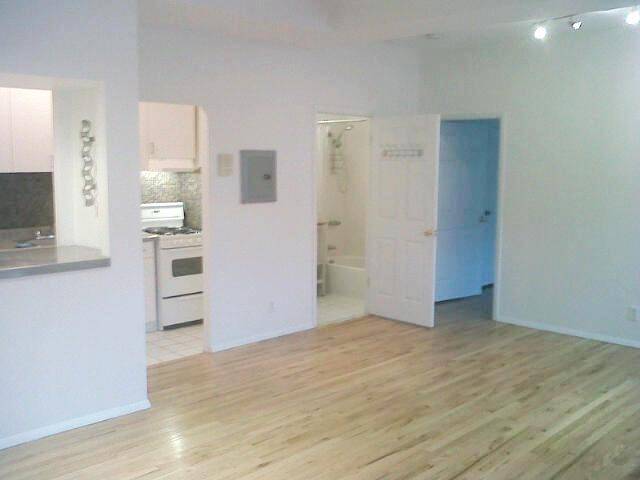 Large 1 Bedroom in the heart of Williamsburg -  1 block to L train