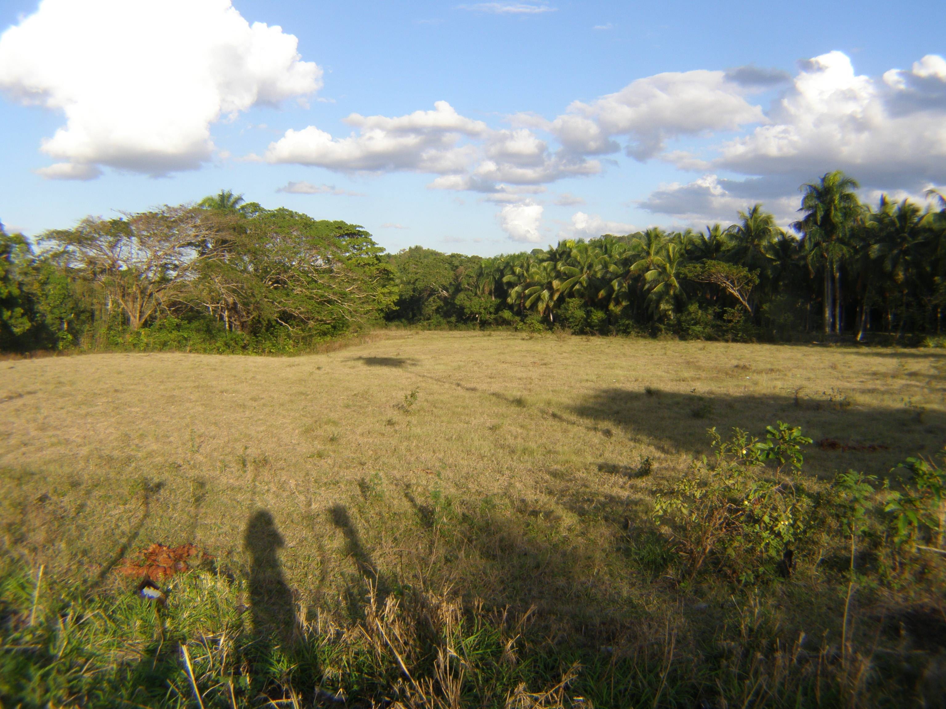 BEAUTIFUL LAND FOR SALE 
