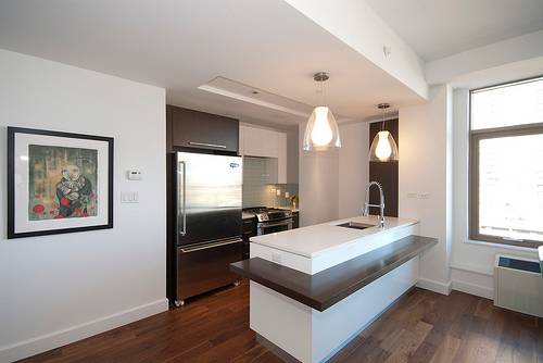 Spectacular 1 Bedroom Apartment in Long Island City!