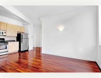 NO FEE | BRAND NEW 1 BED | 1 BATH | CONDO FINISHES WITH W/D IN THE APARTMENT