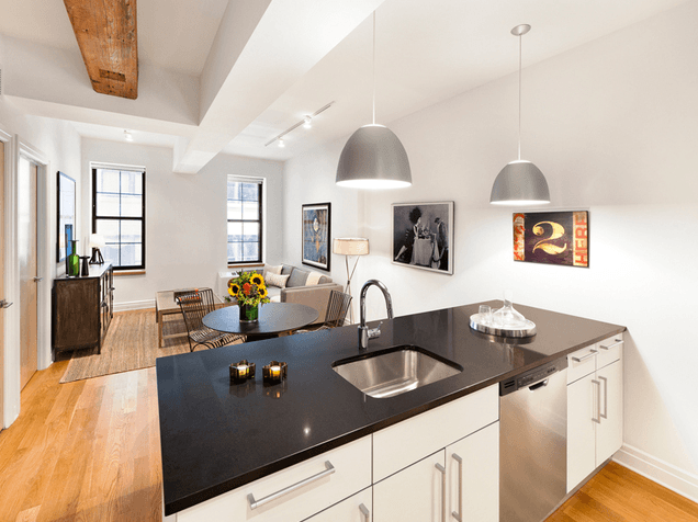 NO FEE - Two Bed / Two Bath in Fully Restored DUMBO Loft Building w/ Picturesque, Lower Manhattan and Bridge Views