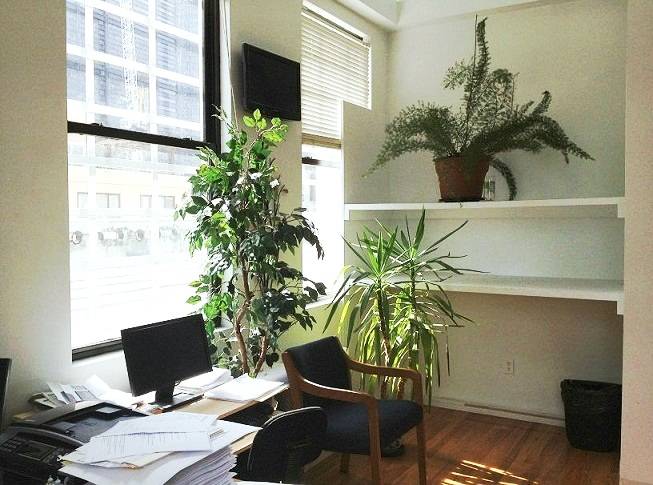 Corner Office Space 350sqft in Financial District!***