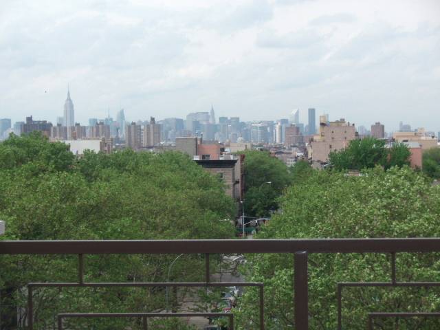 Perfect New One Bedroom Condo with Views For Sale! Clinton Hill, Brooklyn $499,000!