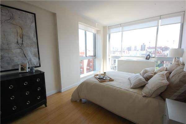 Huge apartment w washer / dryer and many amenities gym, roof deck, lounge, etc