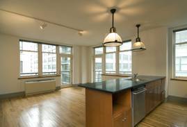 Large & Beautiful 1BDR/2BA Apt in Dumbo---No fee!!**Gym & Laundry in Building**