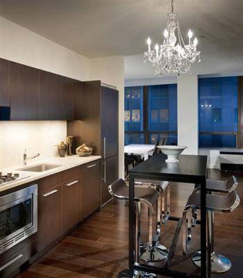 Financial District: Luxurious Convertible 2Bd with W/D in unit!