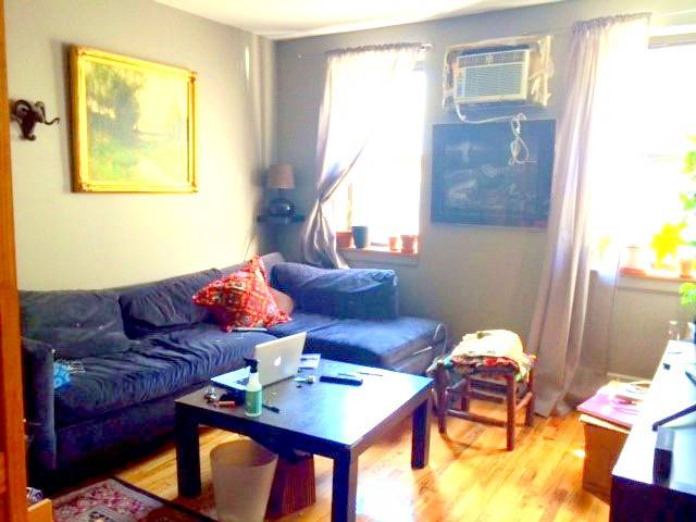 Phenomenal Deal in Prime North Williamsburg!  1 Bedroom Sublet 6-12 Months 