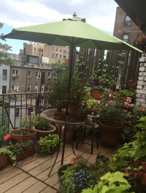 One Bedroom Duplex Apartment With Terrace. Laundry In The building. Call 212-729-4181