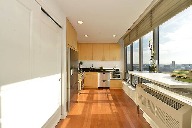 Hunter View  . Beautiful  Sunny One Bedrom with East River View and Private  Balcony 