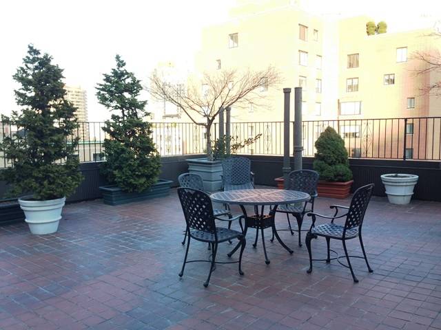 NO FEE!! CARNEGIE HILL PENTHOUSE! MINT ONE BED WITH LARGE TERRACE! D/M! 