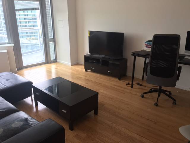   Short  Term Furnished   one bedroom  with  East River View  and  Balcony   for rent in Long Island City  