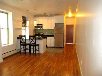 Sun Filled and Renovated One Bedroom in Park Slope 