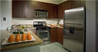 Battery Park Luxury 1BD - NO FEE - washer/dryer in the unit!!!