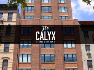 The Calyx