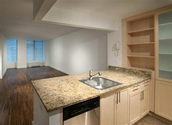 Luxury And Stylish Living in Financial District -  1-Bed/1Bath!