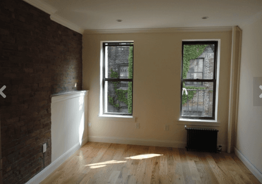 Stunning East Village 1 Bedroom With Laundry in Unit!