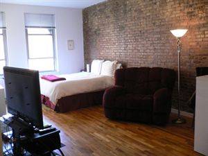 Outstanding West Village Studio Apartment with 1 Bath featuring a Roof Deck