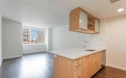 No Broker Fee!!!  Limited Time Only!!!   Brilliant Battery Park City Studio Apartment with 1 Bath featuring a Fitness Center and Rooftop Deck