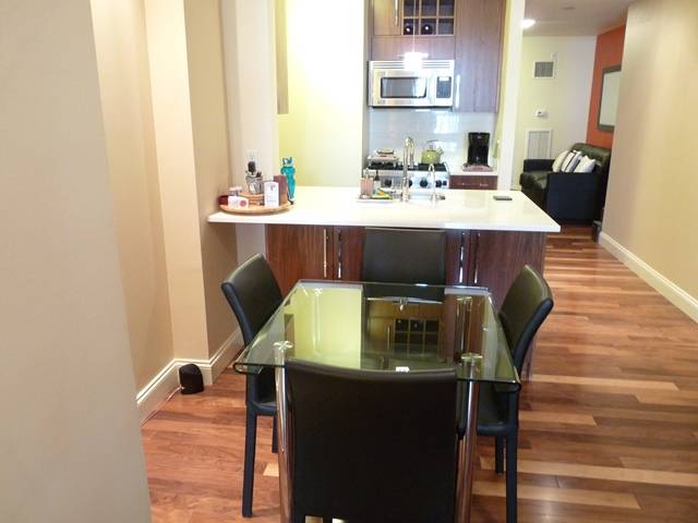 Great Financial District Large Studio for Rent with Terrace in Luxury Full Service Building