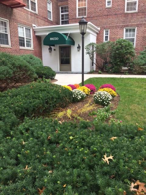 Spacious F Line One Bedroom with Parking at Pet Friendly Woodcliff Gardens