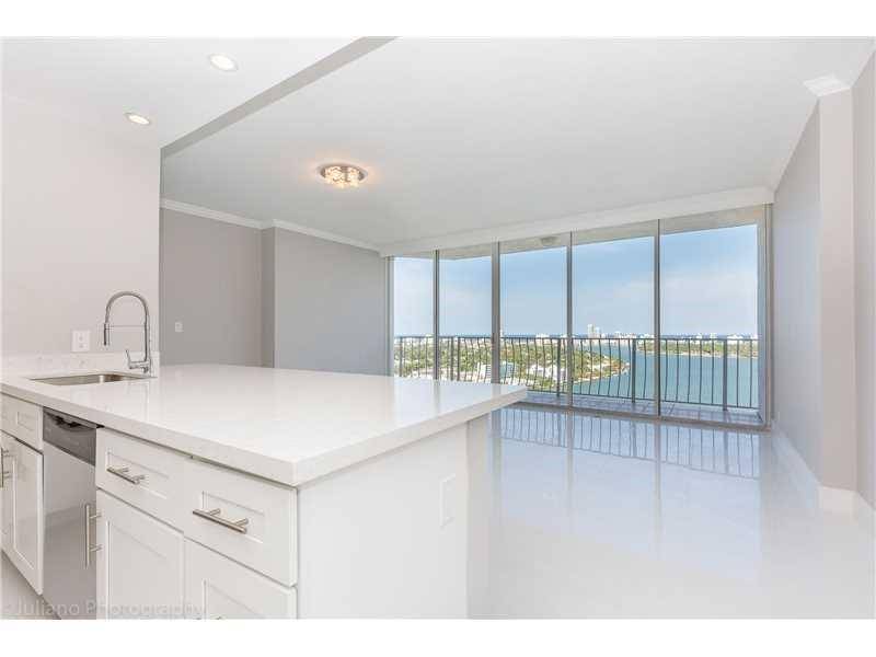 Spectacular penthouse in the sky - the grandview palace 2 BR Penthouse Miami