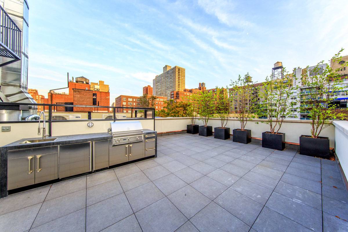 Architecturally Stunning 5 Bedroom Penthouse Duplex in 25ft Wide Mansion w Elevator & Private Landscapped Roofdeck Upper East Side