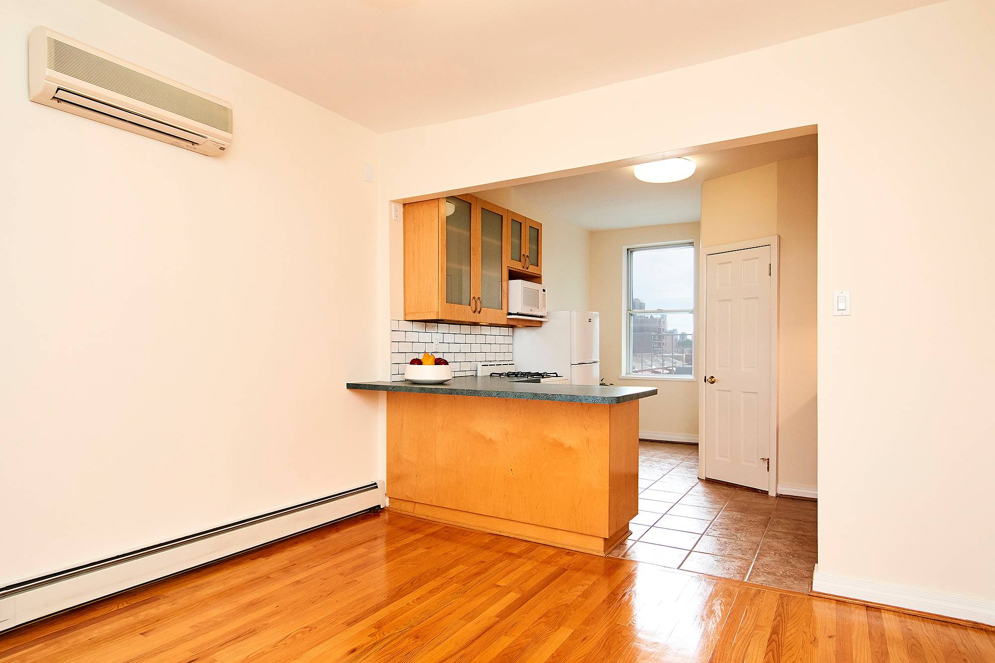 Large Sunny  LIC One Bedroom