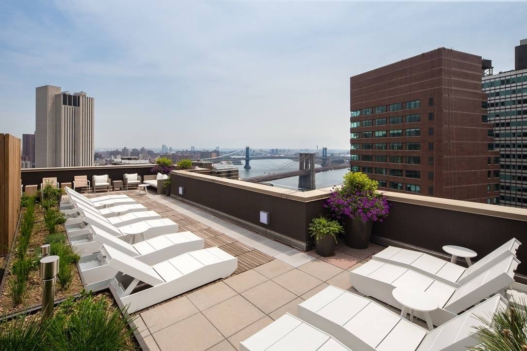 Contemporary FiDi Studio in Luxury High-rise with Gym and Rooftop Terrace