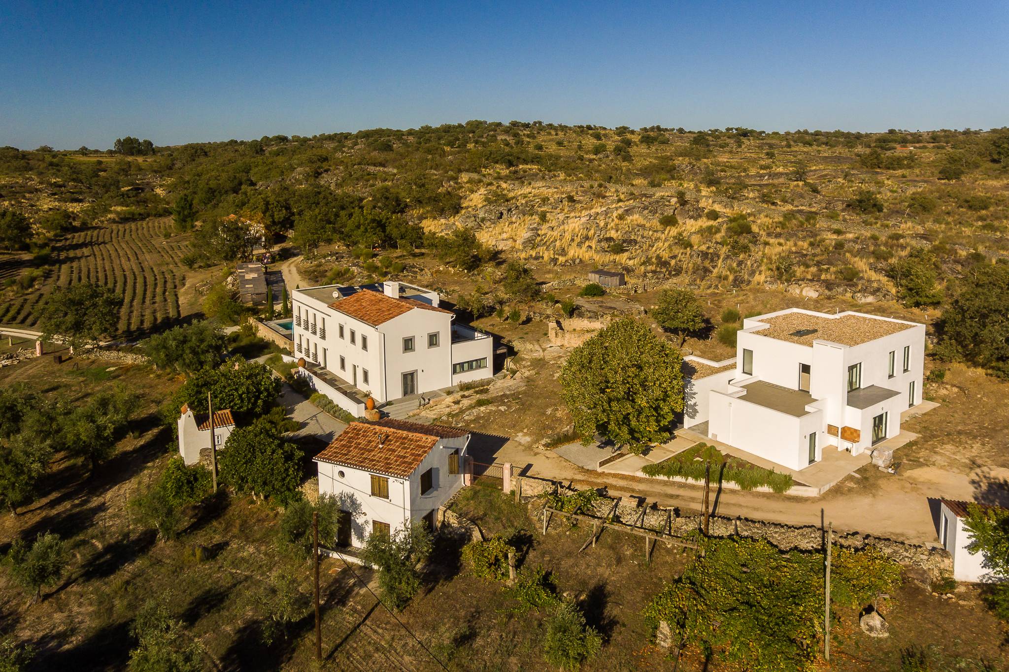 Unique property in the production of lavender in Portugal, located in Castelo de Vide, Alentejo.