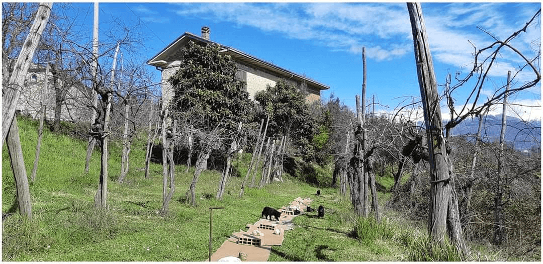 Timeless Rural Retreat on Via Costa Calde - Enchanting Countryside Villa on 8.7 Acres of Pristine Italian Vineyard Terrain