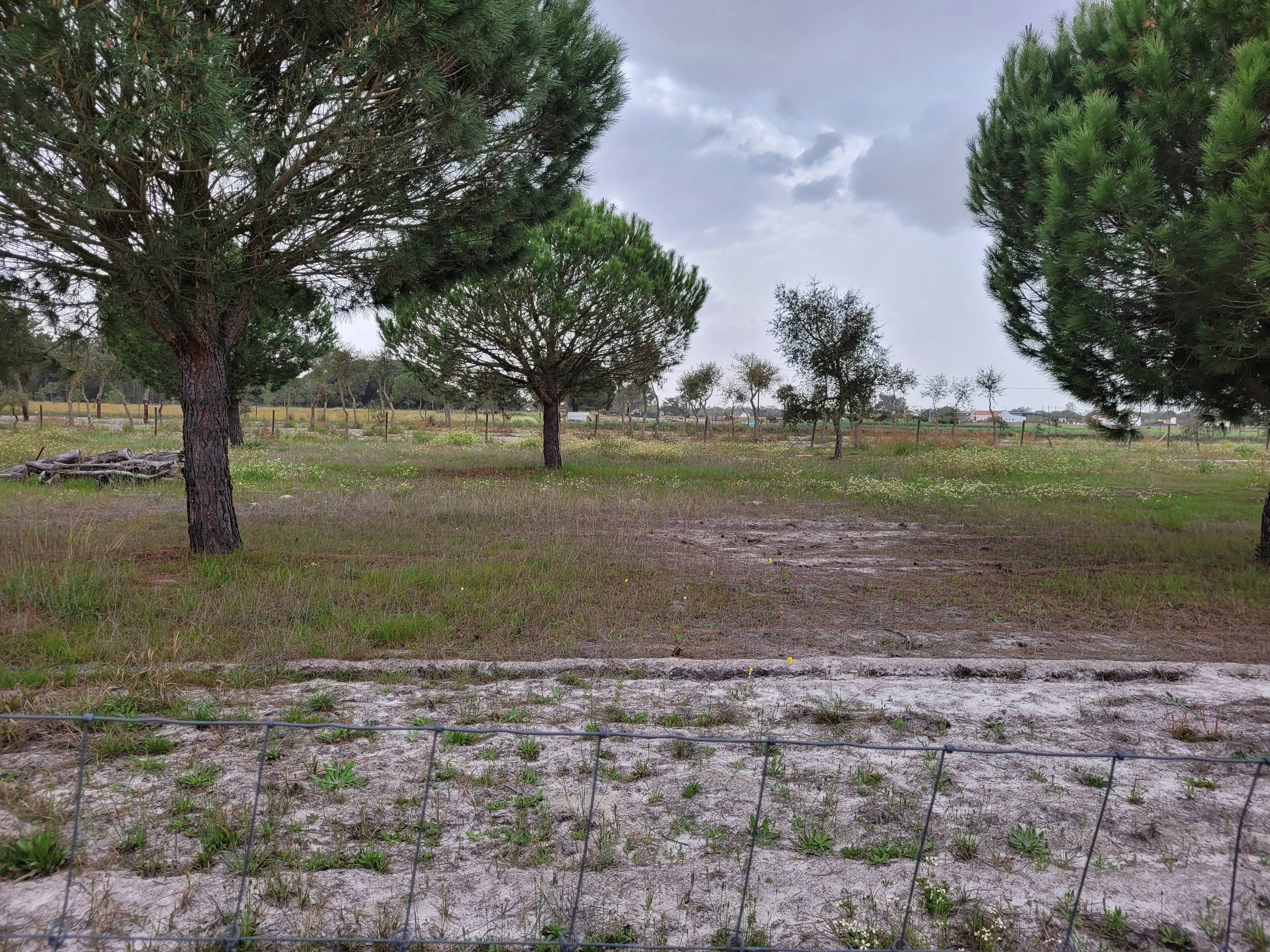 Prime Investment Opportunity: Rustic Land and Urban Building with Project, 30 Minutes from Comporta and Melides, Grândola