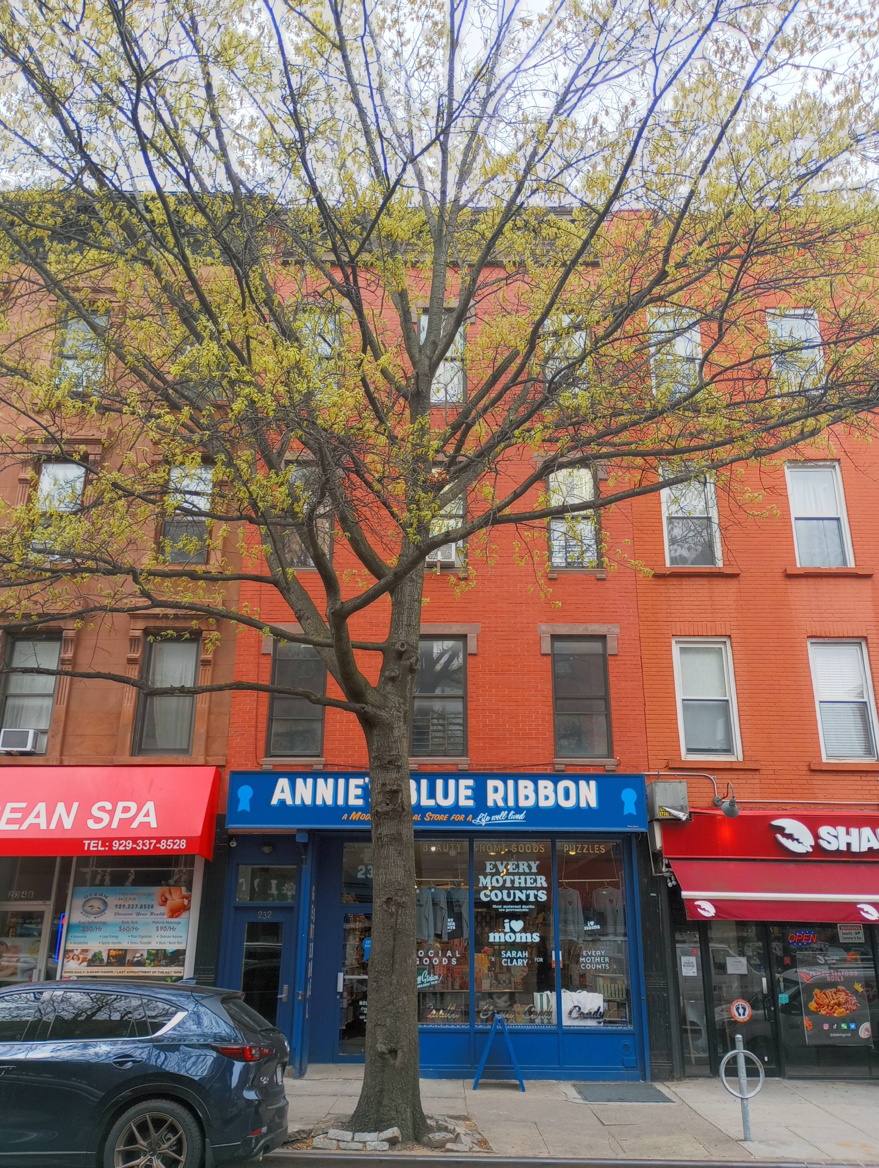 Park Slope Gem in Historic Charmer: Spacious 2BR + Convertible 3BR with MAD Walk-In Closets!