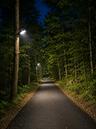 Access road impression with solar powered motion controlled