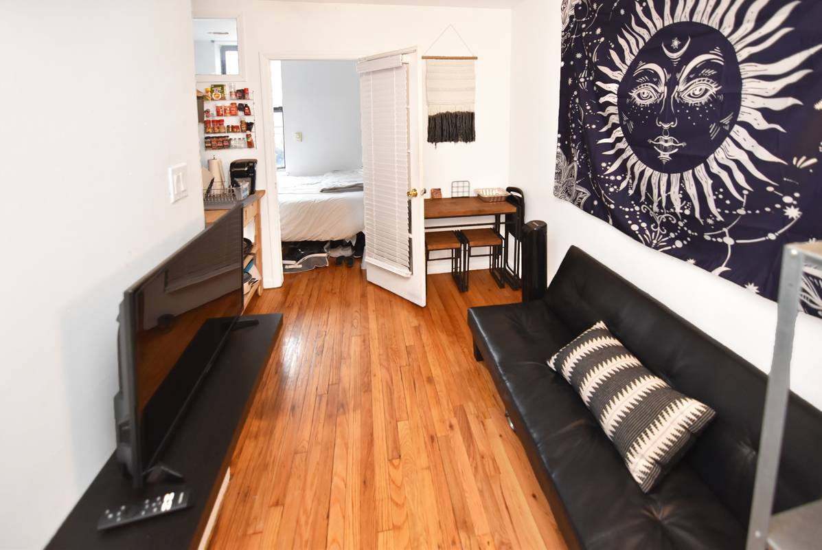 GORGEOUS 2 BR APT -- EAST VILLAGE -- FULLY RENOVATED -- TOMPKINS SQUARE PARK
