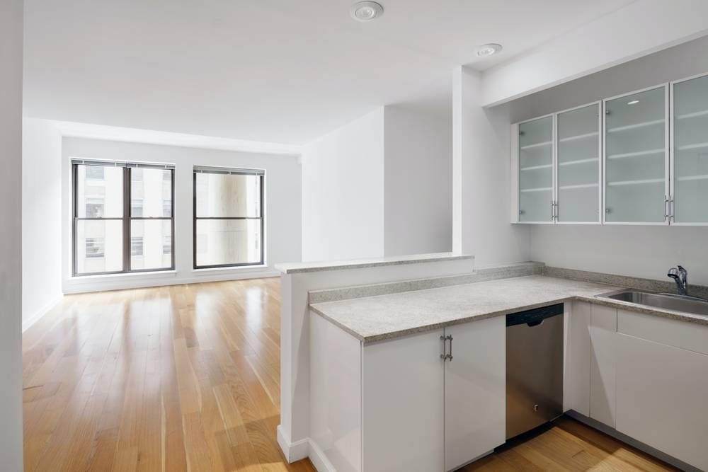 Bright & Spacious 1BD/1BA in Luxurious Financial District Building, W/D in Unit